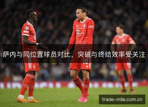 萨内与同位置球员对比,突破与终结效率受关注 萨内与同位置球员对比,突破与终结效率受关注